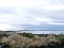 auckland (33)